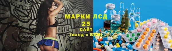 эйфоретик Алзамай