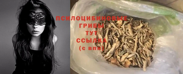 эйфоретик Алзамай