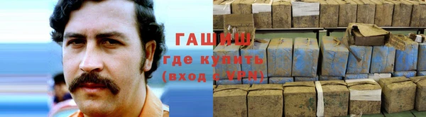 крисы Алексин