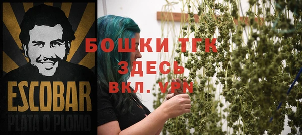 крисы Алексин