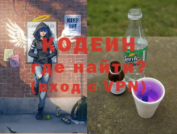 прущие грибы Няндома