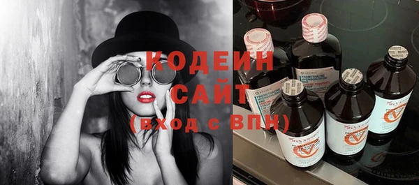 эйфоретик Алзамай