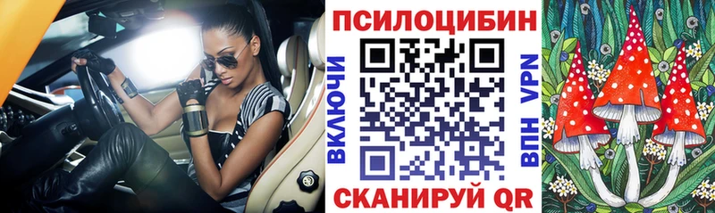 как найти закладки  Северская  Псилоцибиновые грибы MAGIC MUSHROOMS 